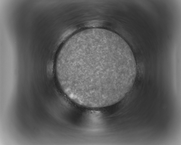 X0000103900159200809261556