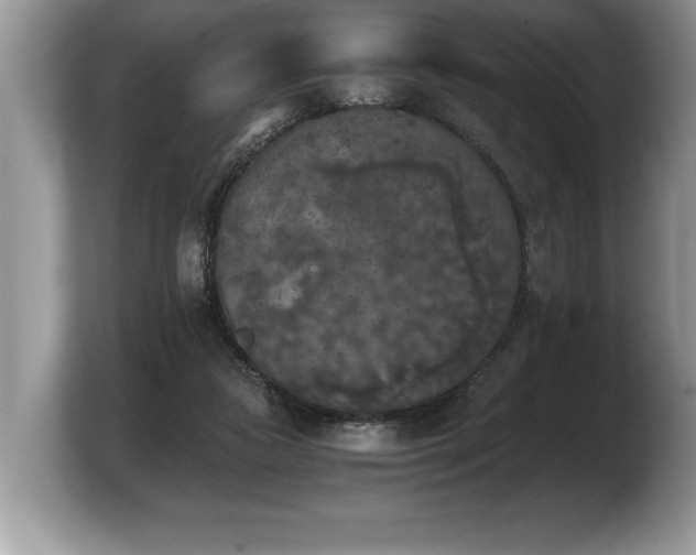 X0000103900161200809261556