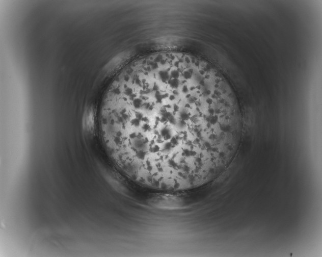 X0000103900166200809261556