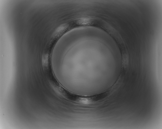 X0000103900167200809261556