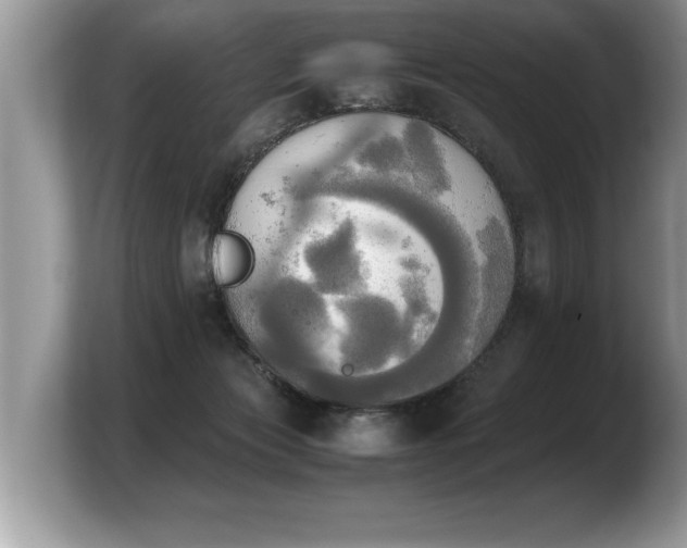 X0000103900173200809261556