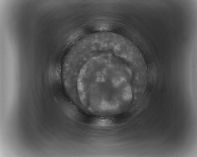 X0000103900175200809261556