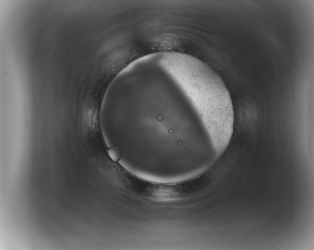 X0000103900177200809261557