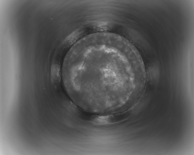 X0000103900178200809261557