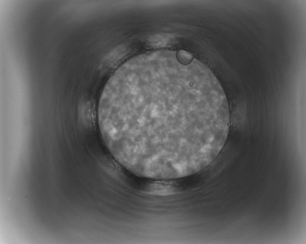 X0000103900179200809261557