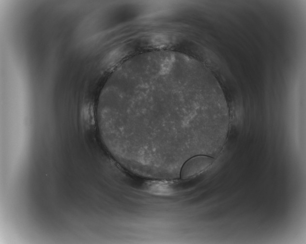 X0000103900182200809261557