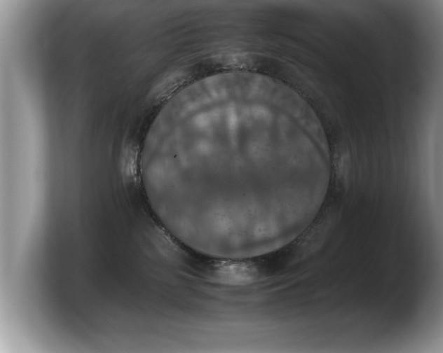 X0000103900185200809261557