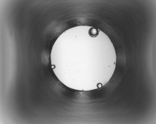 X0000103900188200809261557