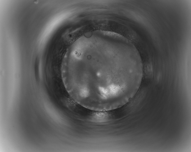 X0000103900189200809261557