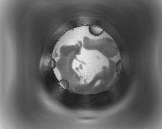 X0000103900191200809261557