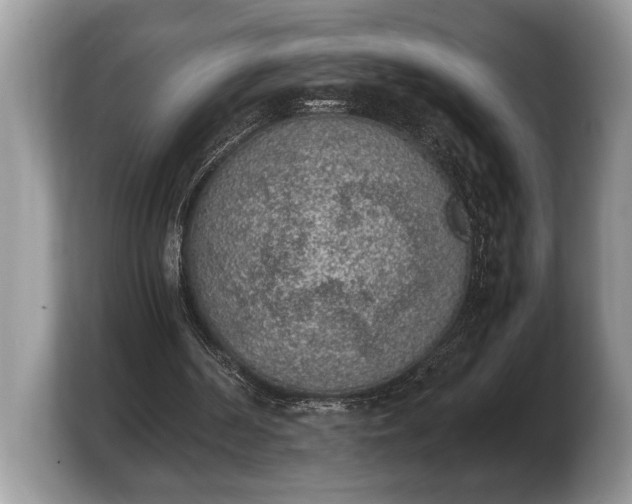 X0000103900194200809261556