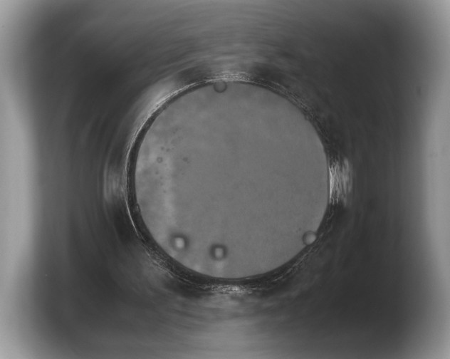 X0000103900195200809261556