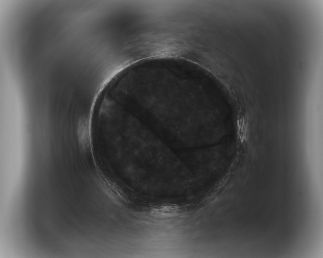 X0000103900196200809261556