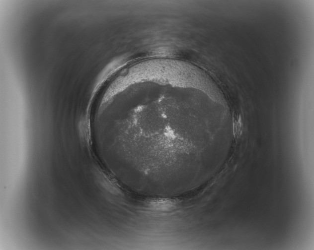 X0000103900198200809261556