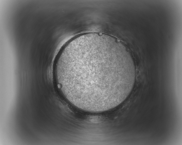 X0000103900200200809261556