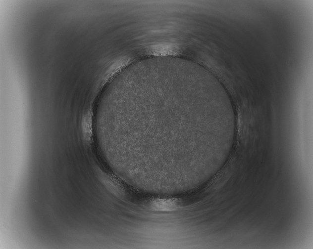 X0000103900202200809261556