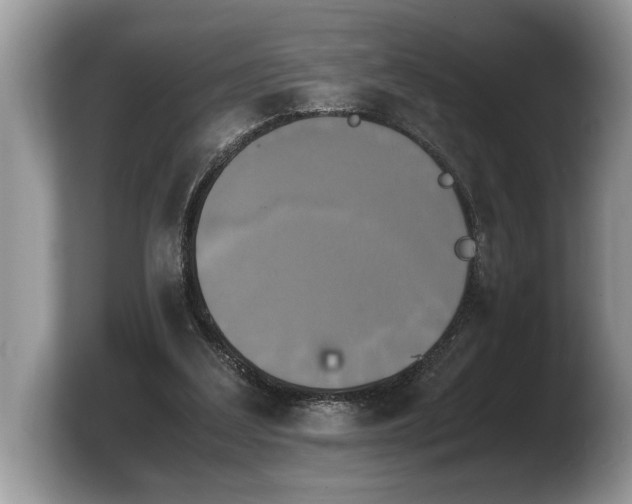 X0000103900203200809261556