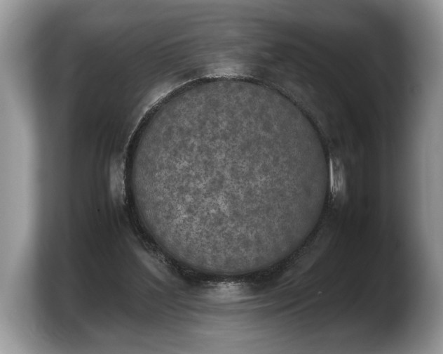 X0000103900204200809261556