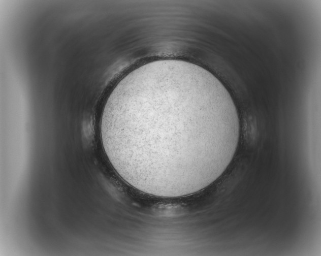 X0000103900208200809261556