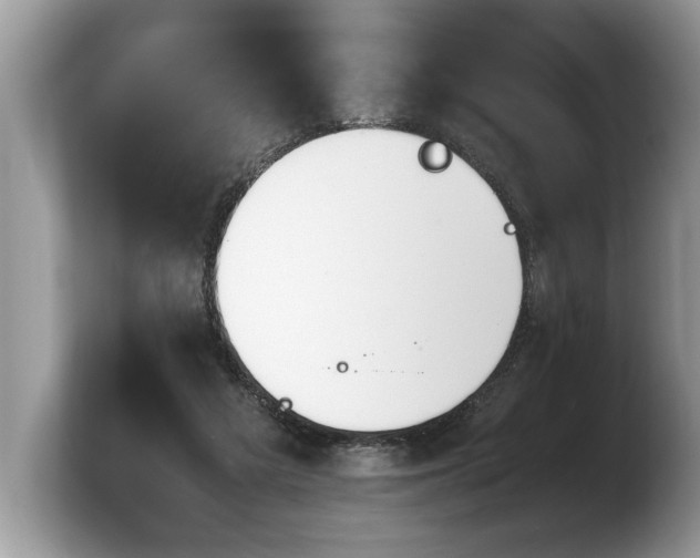 X0000103900209200809261556