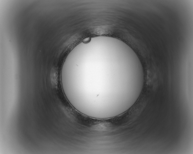 X0000103900210200809261556