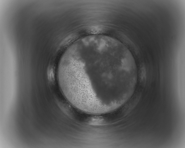 X0000103900214200809261556