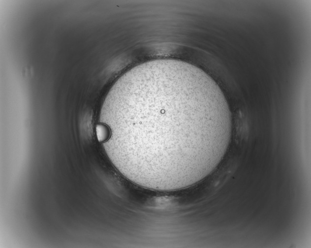 X0000103900216200809261556