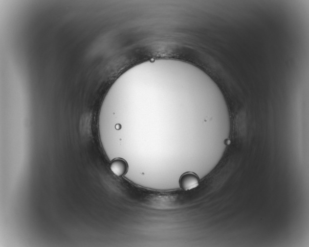 X0000103900217200809261556