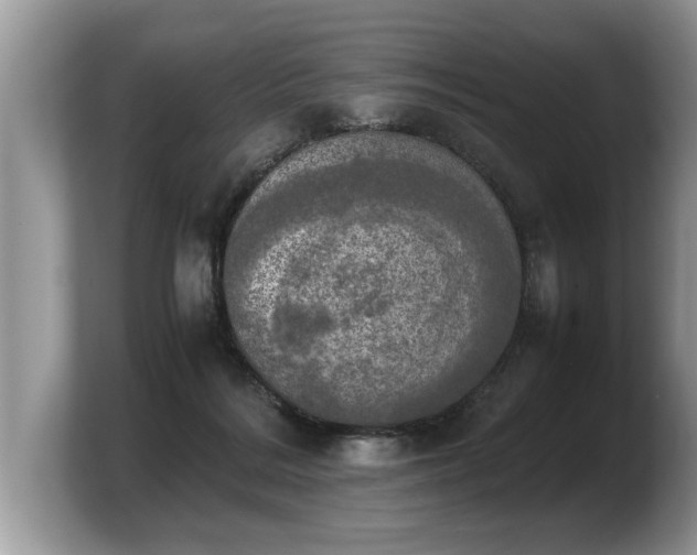 X0000103900220200809261556