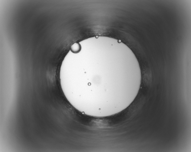 X0000103900221200809261556