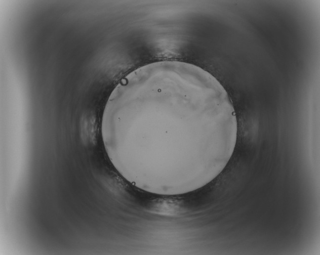 X0000103900223200809261556