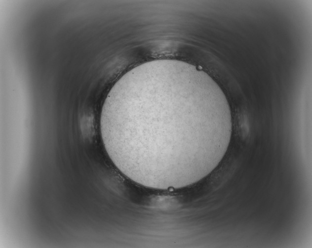 X0000103900224200809261556