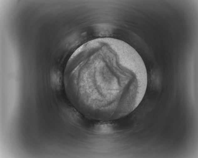 X0000103900228200809261556