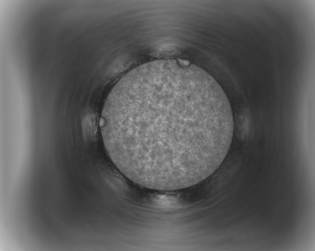 X0000103900232200809261556