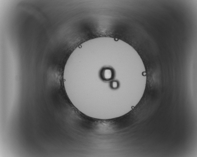 X0000103900235200809261556