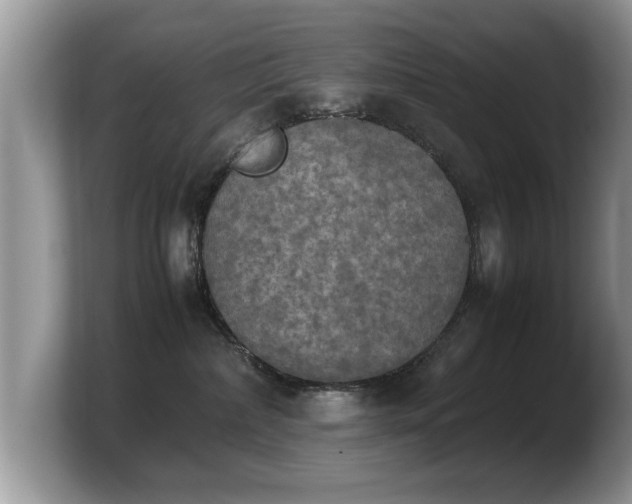 X0000103900236200809261556