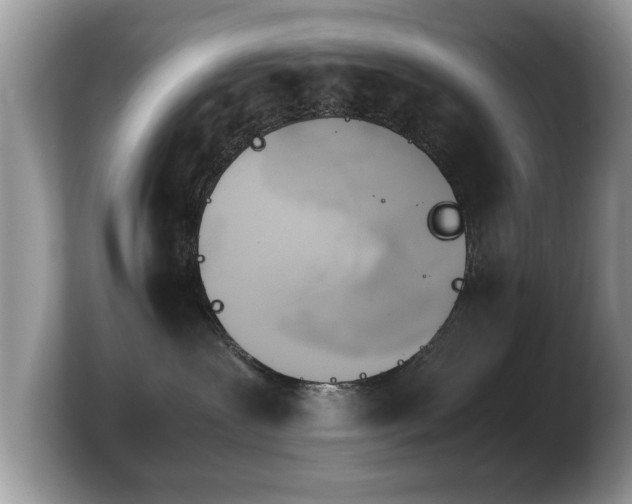 X0000103900239200809261555