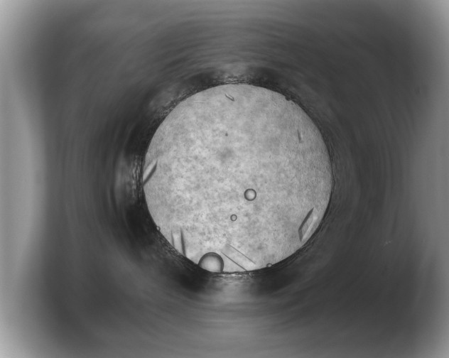 X0000103900240200809261555