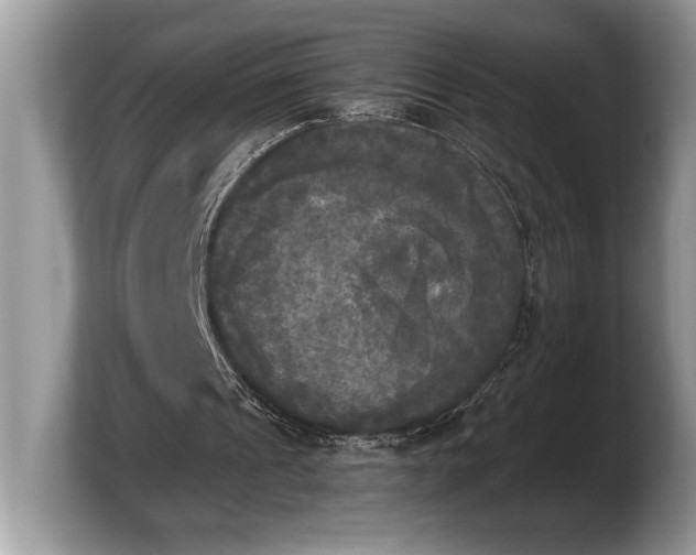 X0000103900241200809261555