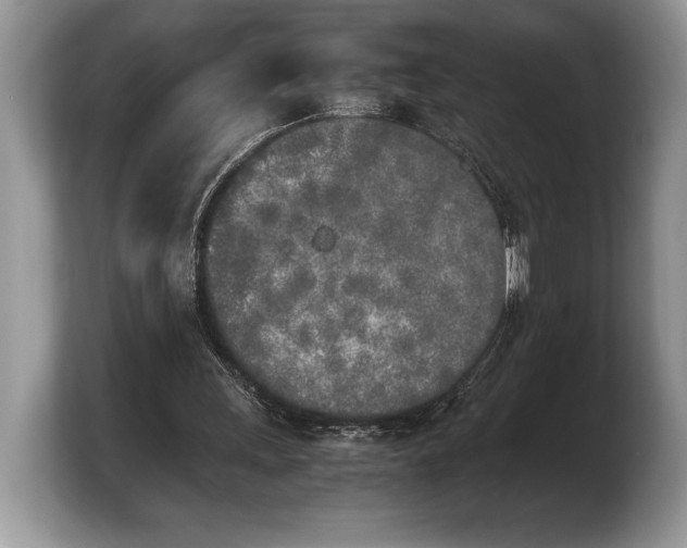 X0000103900243200809261555