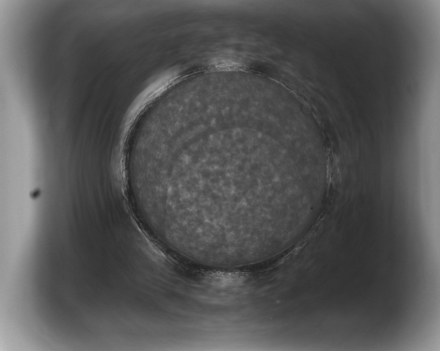 X0000103900245200809261555