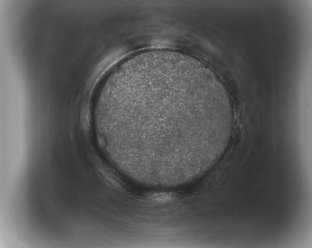 X0000103900247200809261555