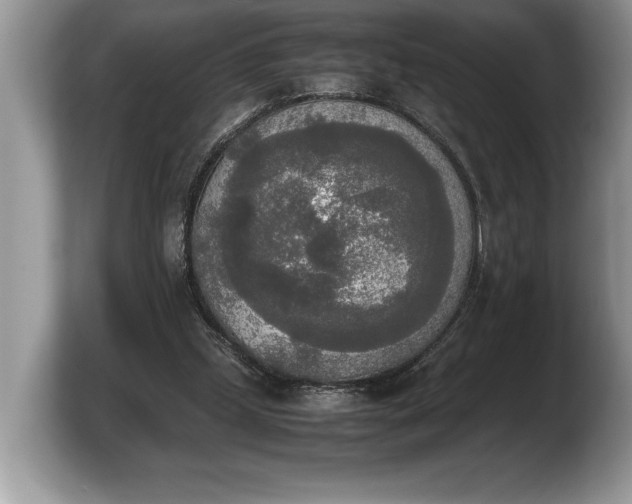 X0000103900249200809261555