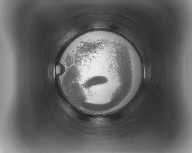 X0000103900253200809261555