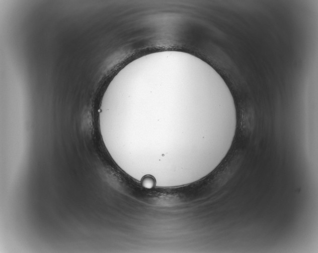 X0000103900256200809261555