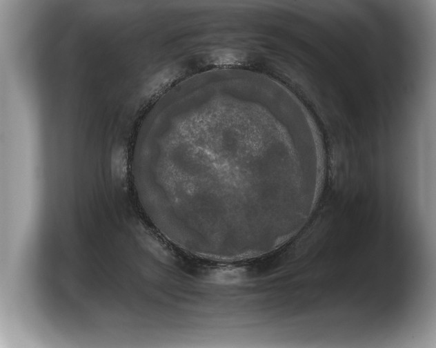 X0000103900257200809261555