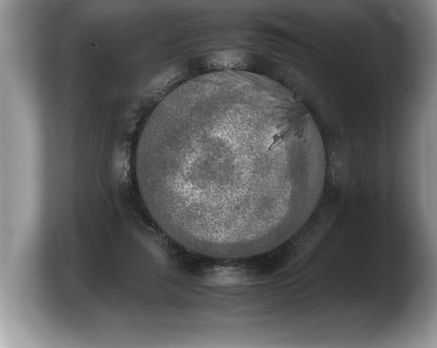 X0000103900259200809261555