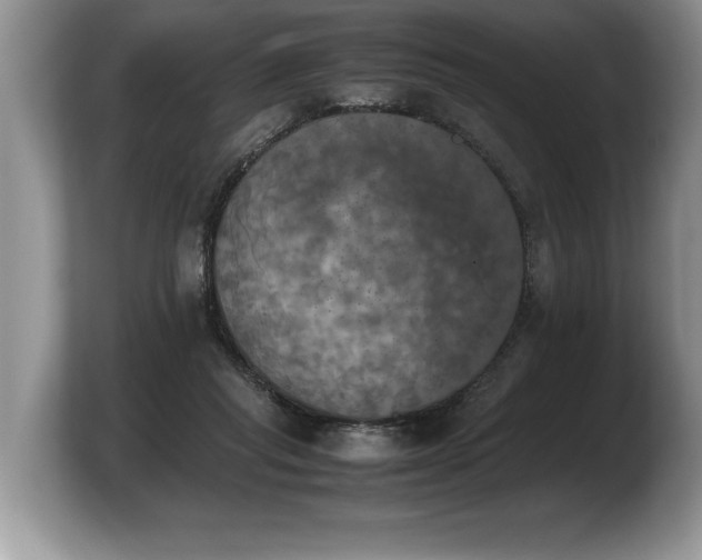 X0000103900261200809261555