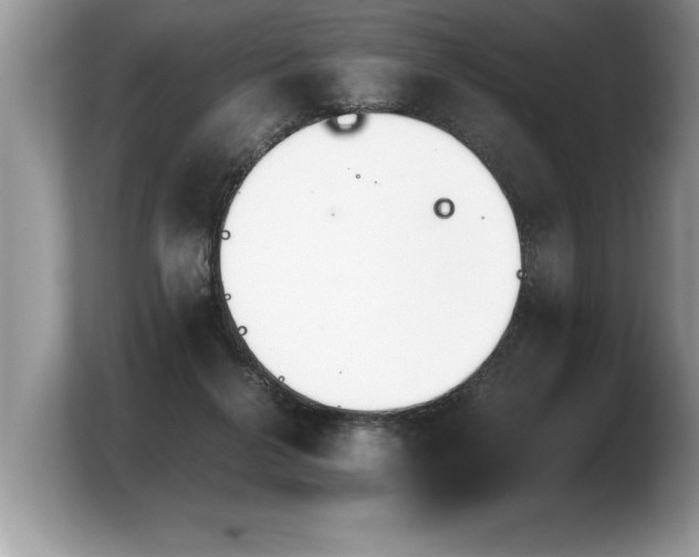 X0000103900264200809261555