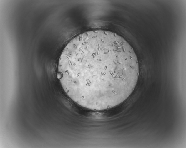 X0000103900265200809261555
